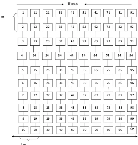 Gambar 3.1 Denah Penataan Plot 