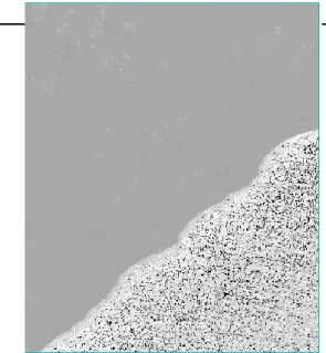 Gambar 2. Hasil Band Ratio Citra Landsat 7 