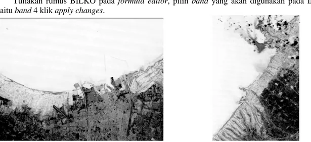 Gambar 1. Citra Landsat Hasil Rumus BILKO pesisir Kota Semarang dan pesisir Kabupaten Demak  tahun 1989 