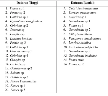 Tabel 4.1 Jenis-jenis Jamur Kelas Basidiomycetes di Kawasan Hutan Wisata Desa Sanggu Kecamatan Dusun Selatan Kabupaten Barito Selatan 