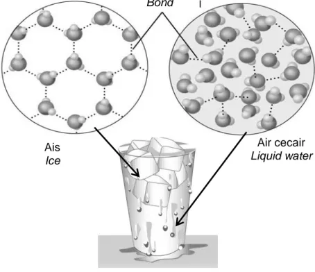 Figure 4.2 shows the arrangement of water molecule in liquid water and ice. 
