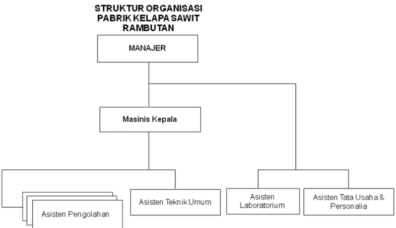 Gambar 2.1 Struktur Organisasi PTPN III PKS Rambutan 