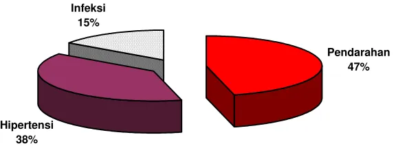 Grafik 5 