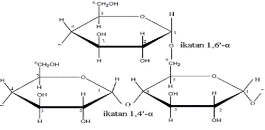 Gambar 2.2 Struktur Amilopektin 