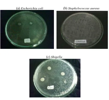 Tabel 4.2 Pengukuran diameter zona hambat beberapa kultur bakteri oleh edible film yang diinkorporasi minyak atsiri daun attarasa  