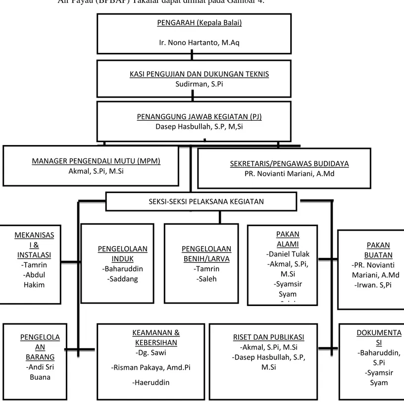 Gambar 4.Struktur pegawai divisi pembenihan udang PENGARAH (Kepala Balai) 