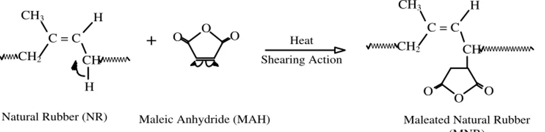 Gambar 1. Mekanisme yang mungkin terjadi pada reaksi grafting MAH pada NR [Nakason  dkk, 2006] 