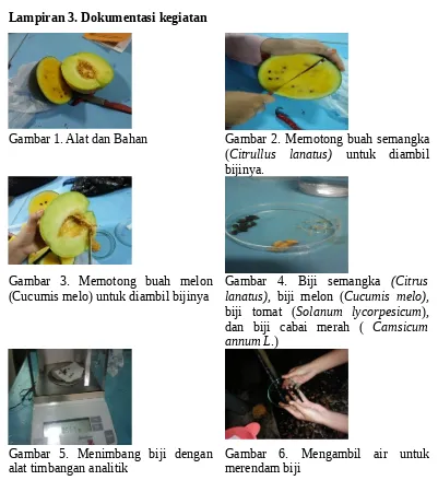 Gambar  3.  Memotong  buah  melon(Cucumis melo) untuk diambil bijinya