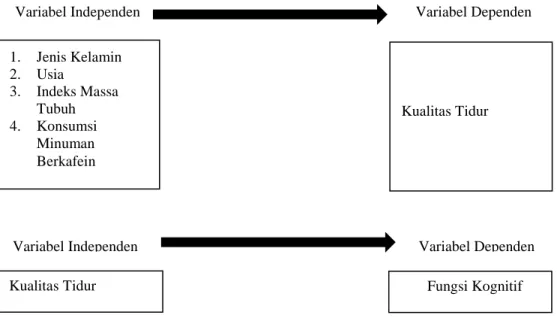 Gambar 2.2. Kerangka Konsep Penelitian Variabel Independen 