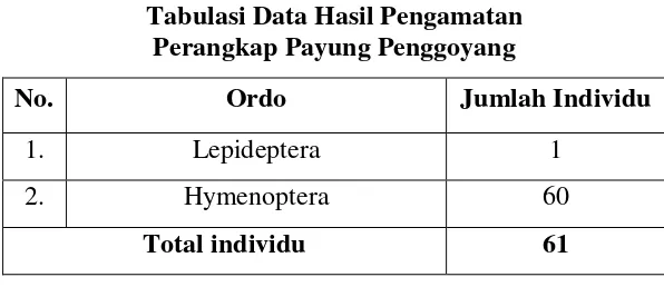 Tabel 4.1 Tabulasi Data Hasil Pengamatan 