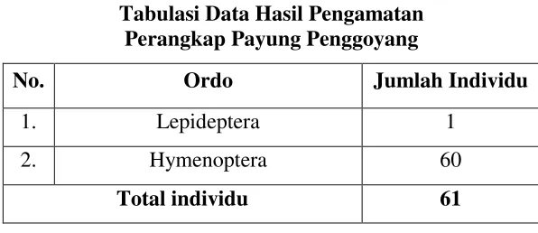 Tabel 4.1 Tabulasi Data Hasil Pengamatan 