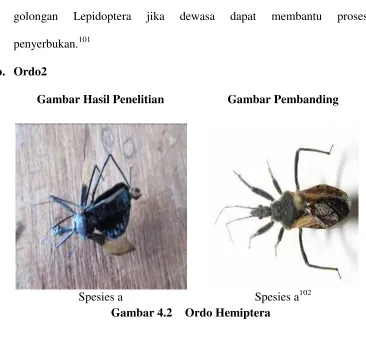 Gambar Hasil Penelitian 