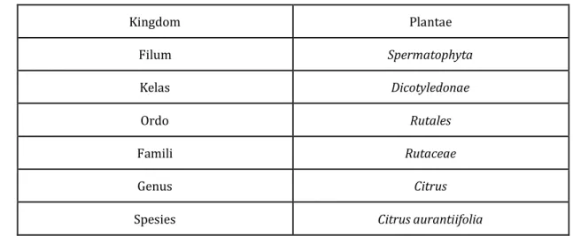 Tabel 2.1 Klasifikasi Citrus aurantifolia 
