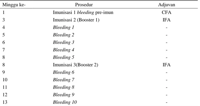 Tabel 1. Prosedur imunisasi dan isolasi IgG 