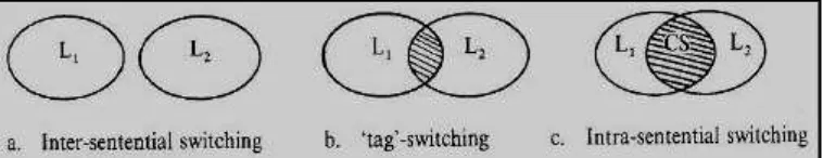 Figure 1: The types of code switching and the degree of code switching in two 