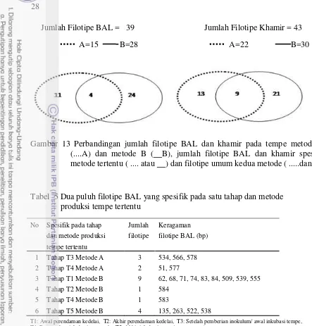 Gambar 13 Perbandingan jumlah filotipe BAL dan khamir pada tempe metode A 