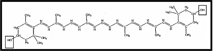 Gambar 2.6 Struktur β-karoten