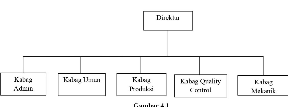 Gambar 4.1 Struktur Organisasi PT Sulawesi Agung Jaya 