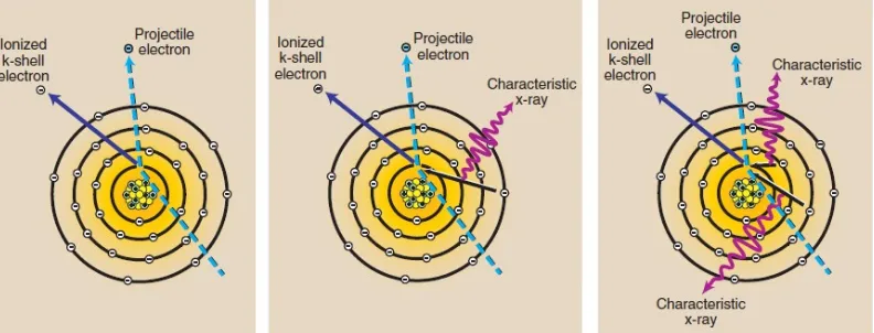 Gambar 2 Sinar-X karakteristik diproduksi setelah ionisasi elektron kulit K.Ketika elektron kulit terluar mengisi kekosongan kulit K, sinar-X diemisikan.