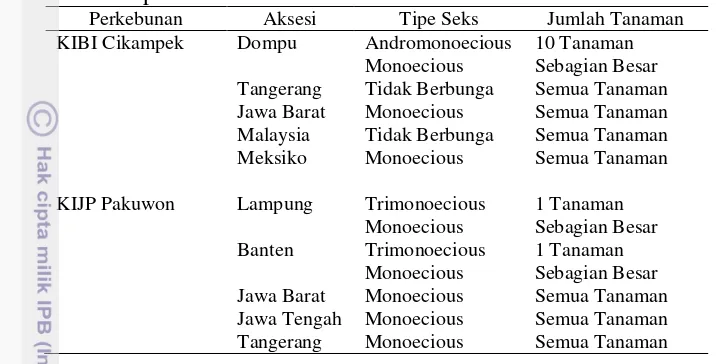 Tabel 3.1 Tipe seks individu tanaman koleksi jarak pagar di perkebunan KIBI Cikampek dan KIJP Pakuwon 