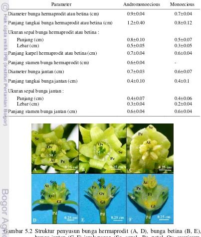 Gambar 5.2 Struktur penyusun bunga hermaprodit (A, D), bunga betina (B, E), 