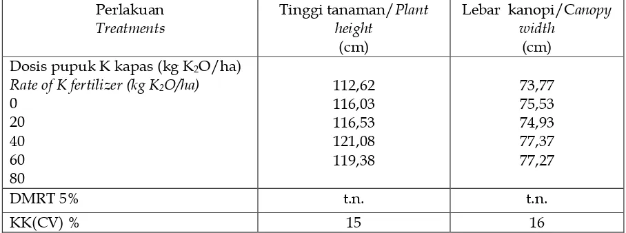 Tabel 8. Pengaruh  dosis pupuk K terhadap tinggi tanaman dan lebar kanopi kapas  Table 8