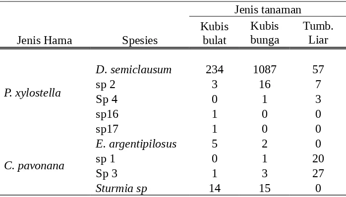 Tabel 5. Kelimpahan Hymenoptera  parasitoid yang berasosiasi dengan Plutella 