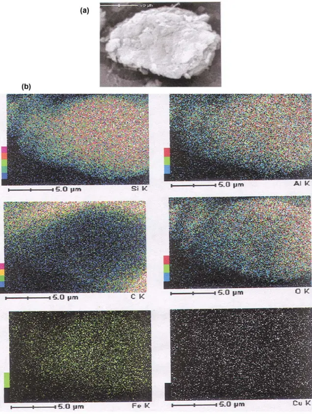 Gambar 7.  Kenampakan mineral lempung di lokasi JTM06-4 hasil pengamatan SEM (a), dan Hasil x-ray mappingnya (b)