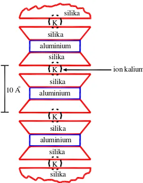 Gambar 2.7 Diagram skematik struktur Illite (Mitchell, 1976) 