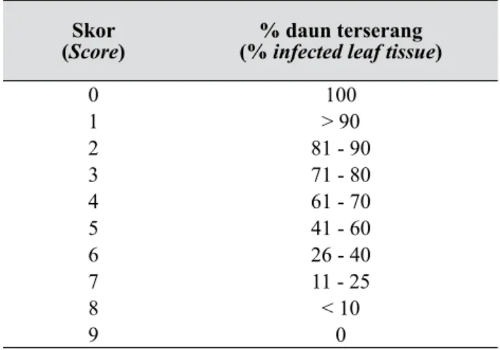 Tabel 1. Skor infeksi hawar daun berdasarkan  persentase daun terserang (Scoring of late 