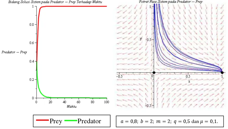Gambar 2.7 Bidang solusi serta potret fase sistem pada populasi predator-prey