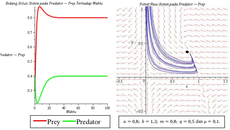 Gambar 2.9 Bidang solusi serta potret fase sistem pada populasi predator-prey