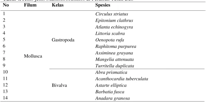 Tabel 4. Jenis-jenis Markozoobenthos di Perairan Teluk Buo