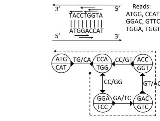 Gambar 2  Contoh bidirected overlap graph  (Kundeti et al. 2010) 
