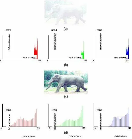 Gambar 3.  Elephant.bmp, (a) Citra asli; (b) Histogram citra asli (R, G, B); (c) Citra hasil RGB fomat BMP; Contrast Stretching pada citra (d) Histogram citra hasil format BMP 