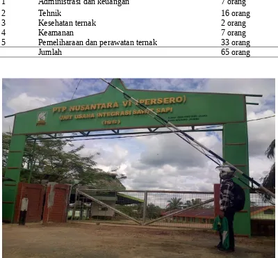 Gambar 2. Gerbang utama PTPN VI Muaro Jambi.
