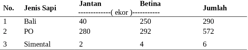 Tabel 2. Jumlah ternak yang di pelihara di PTPN Muaro Jambi.