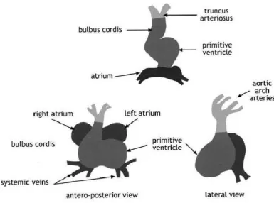 Gambar 2.2. Proses Looping(Abdulla, et al., 2004) 