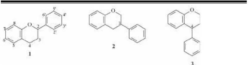 Gambar II.4 Struktur Flavonoid, (1) Flavonoid,(2) Isoflavonoid,(3) Neoflavonoid 