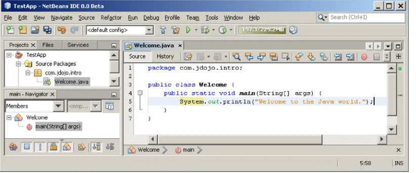 Figure 2-11. The NetBeans IDE with TestApp Java Project
