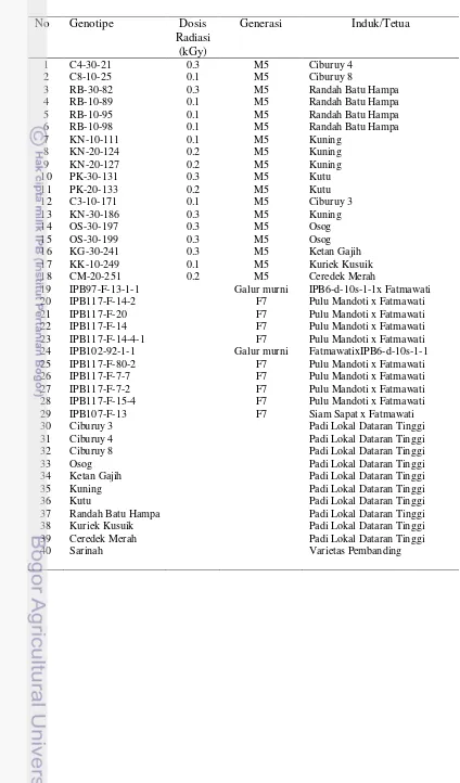 Tabel 2 Genotipe padi dataran tinggi yang digunakan dalam penelitian 