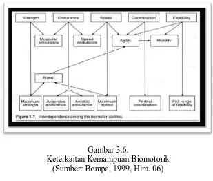 Gambar 3.6. Keterkaitan Kemampuan Biomotorik 