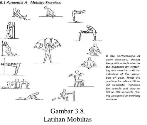 Gambar 3.8. Latihan Mobiltas 
