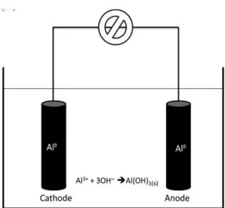 Gambar 2.3 (A) Reaksi Elektrolisis dan (B) Reaksi Keseluruhan  Elektrokoagulai 