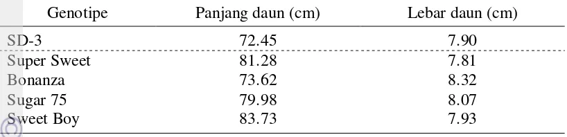 Tabel 5. Nilai tengah panjang daun dan lebar daun pada jagung manis genotipe SD-3 dan empat varietas pembanding  