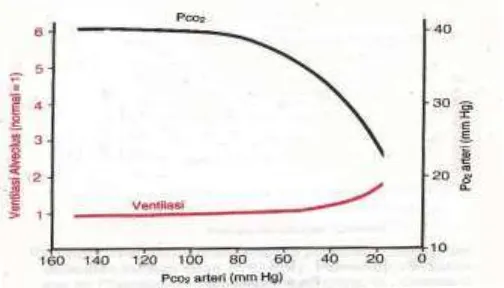 Gambar 5. Nilai PO 2 arteri terhadap ventilasi alveolus Sumber: Guyton dan Hall. 1997