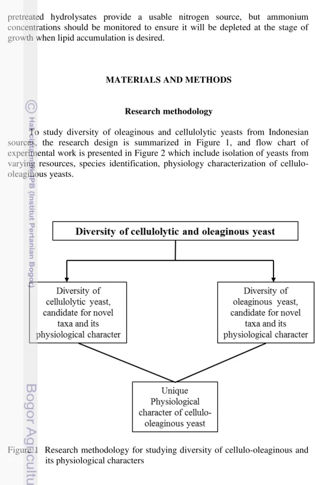 Figure 1  Research methodology for studying diversity of cellulo-oleaginous and  its physiological characters 
