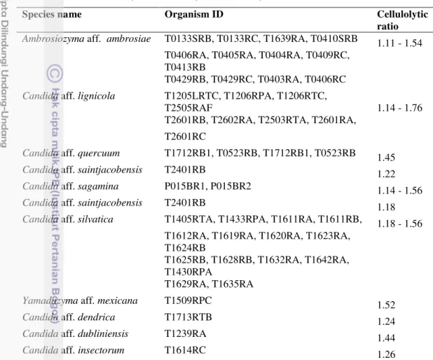 Table 18  Cellulolytic yeasts isolated from South East Sulawesi. Sample sources  were insect, insect larva, insect tunel, insect frass and mushroom 