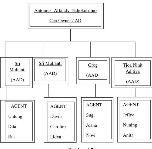 Gambar  4.5  Struktur Organisasi 