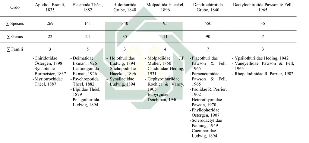Tabel 2.1 Ordo Anggota Kelas Holothuroidea 